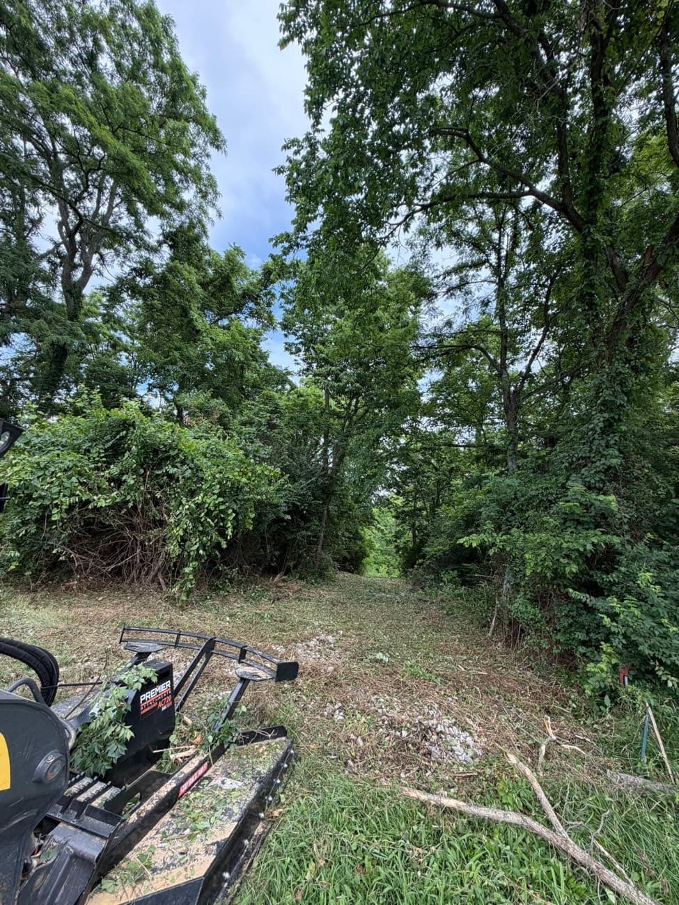 Forestry Mulching by K&M Property Maintenance — Northern Kentucky