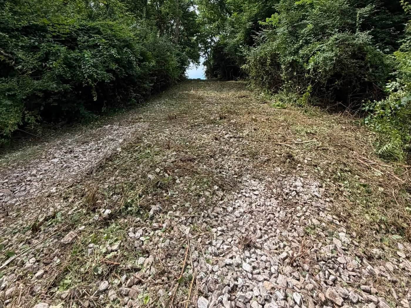 Forestry Mulching by K&M Property Maintenance — Northern Kentucky