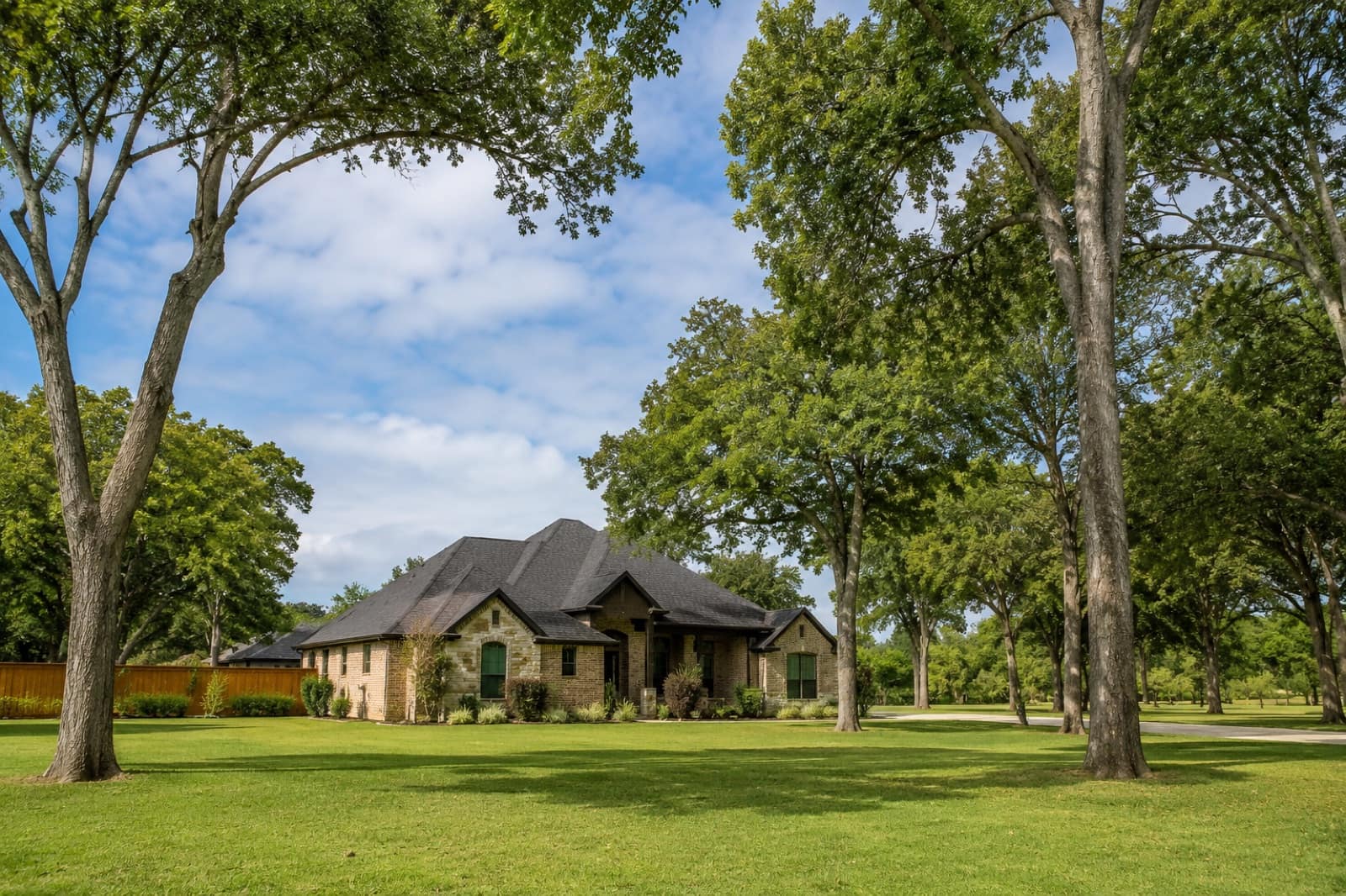 Tree Service by K&M Property Maintenance — Northern Kentucky